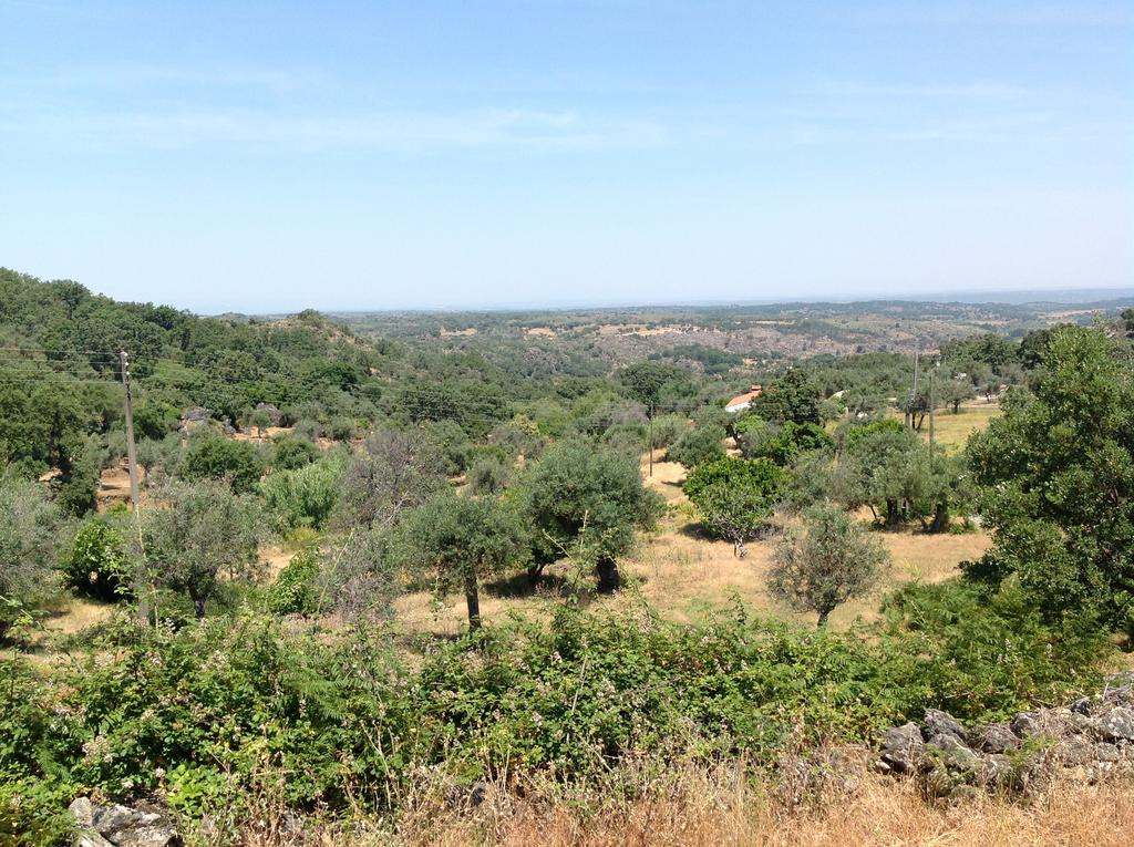 Refugio Da Maceira Villa Marvao  Ngoại thất bức ảnh